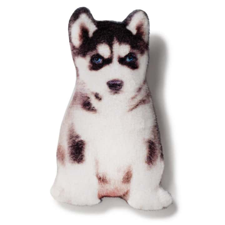 Magnet Siberian Husky - фото 1
