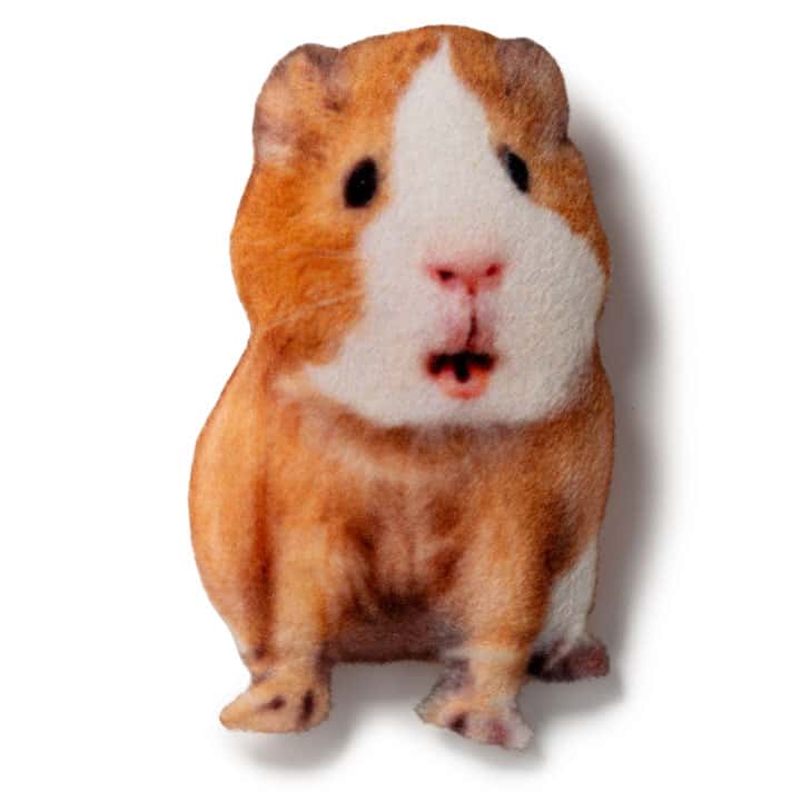 Magnet Guinea pig - фото 1