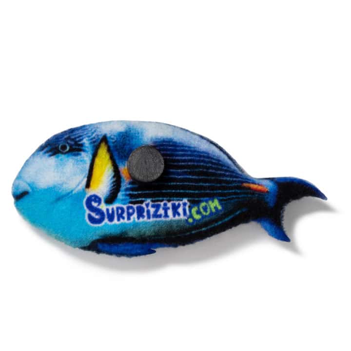 Magnet blue fish parrot - фото 2