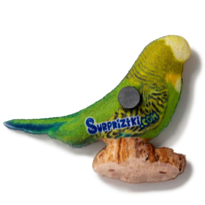 Magnet Budgerigar - фото 2