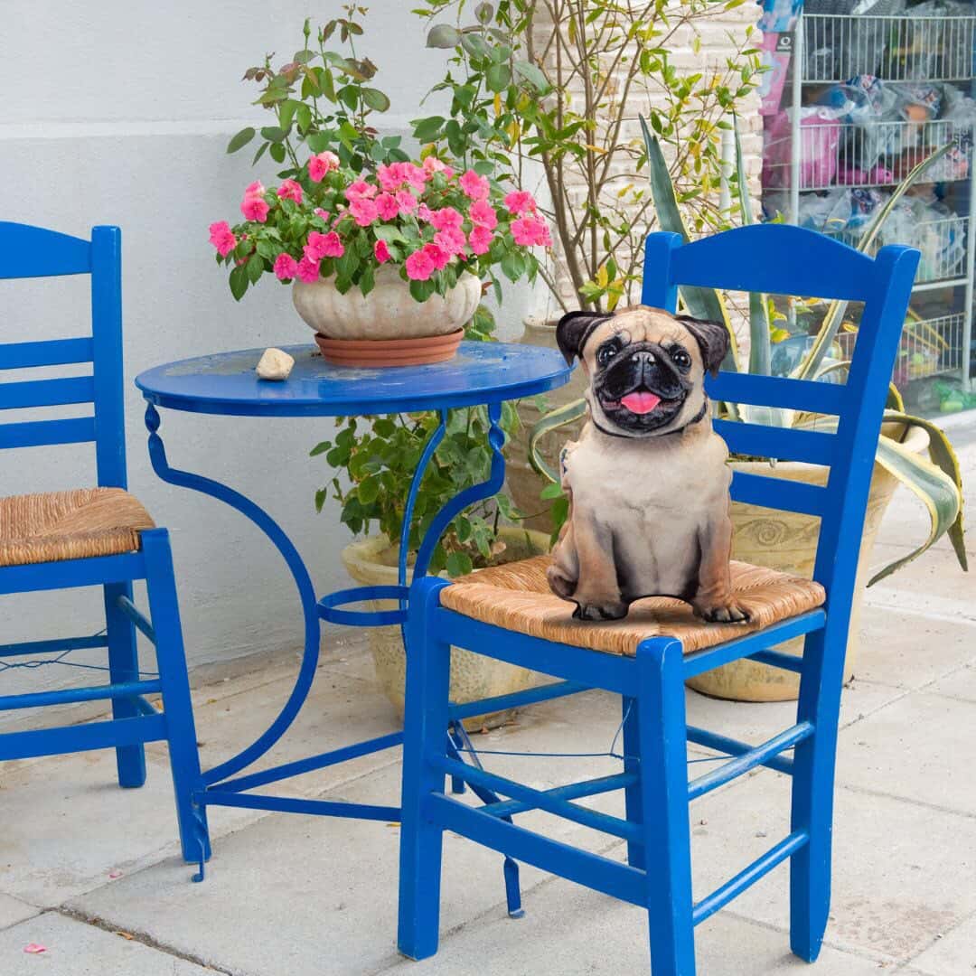 Realistic Pug pillow toy - фото 3