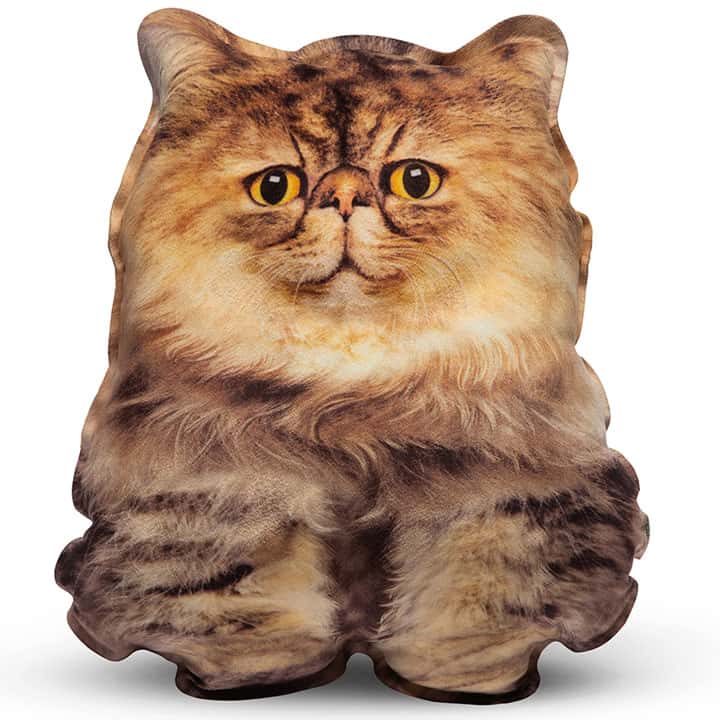 Realistic pillow toy Persian kitten smiling - фото 1