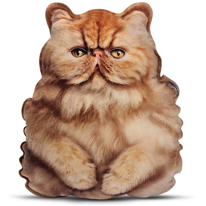 Realistic Persian Ginger Kitten Pillow Toy - фото 1