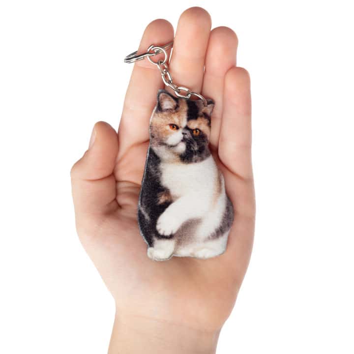 Keychain Exotic shorthair cat - фото 1