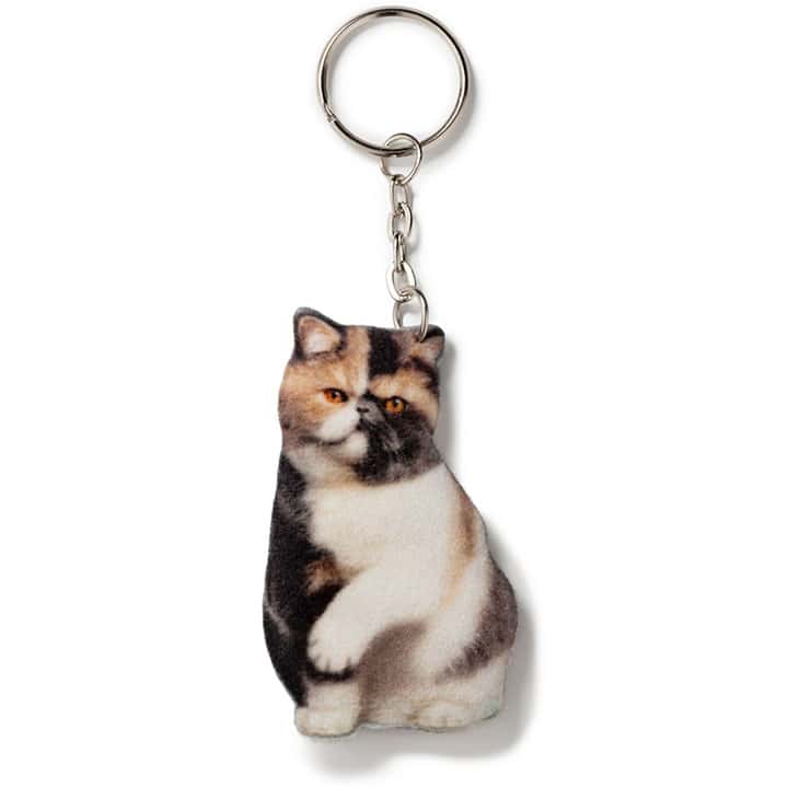Keychain Exotic shorthair cat - фото 2