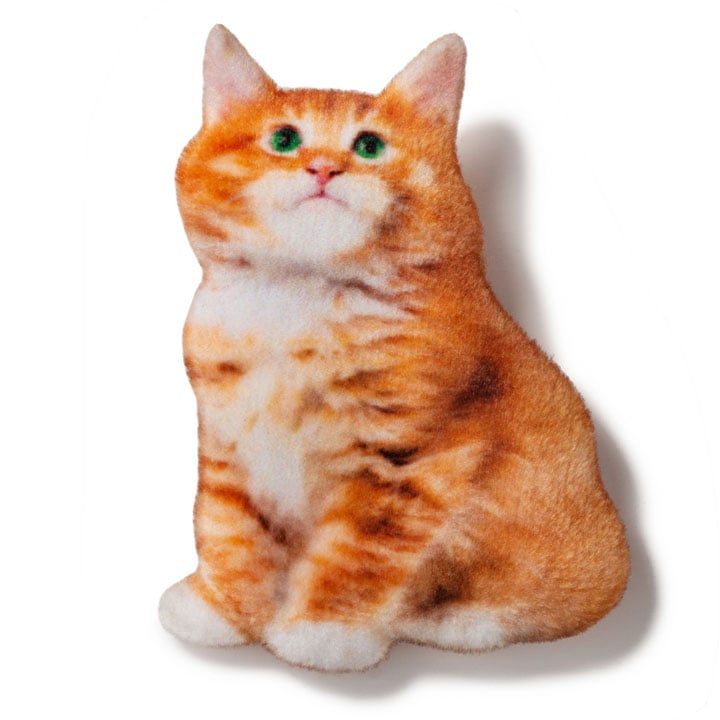 Maine Coon magnet