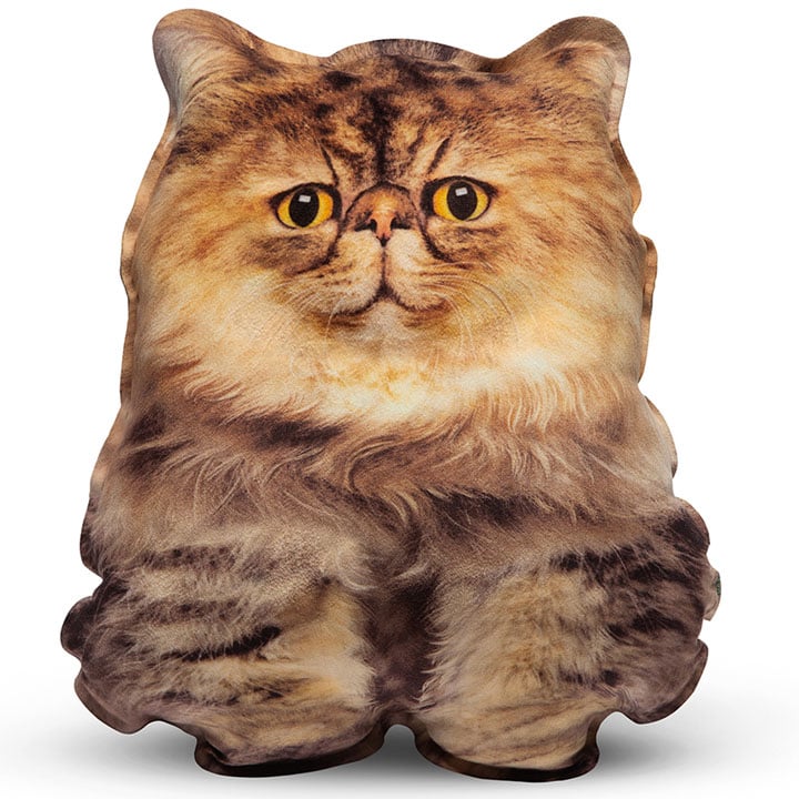 Realistic pillow toy Persian kitten smiling