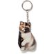 Keychain Exotic shorthair cat