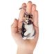 Брелок Екзотична короткошерста кішка TRFC-05 фото 1