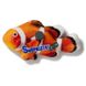 Clown fish magnet