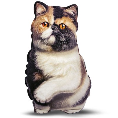 Realistic Exotic Shorthair Cat Pillow Toy