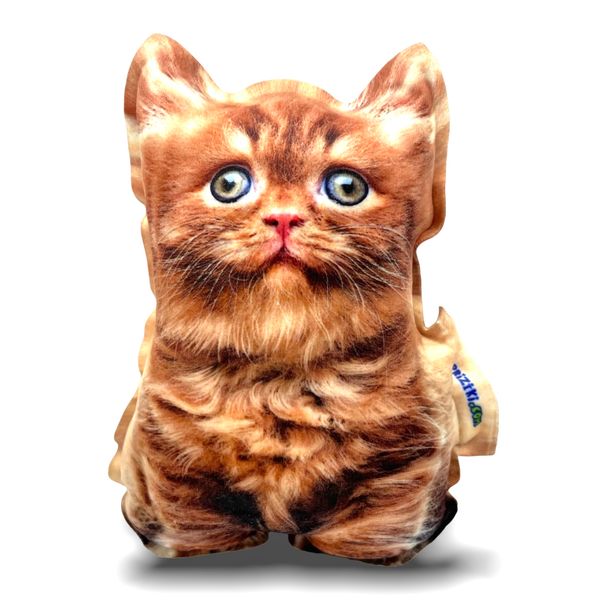 Realistic toy British red kitten (S)