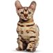 Realistic Bengal cat pillow toy