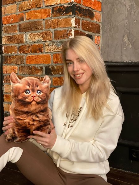 Реалистичная игрушка-подушка Британский рыжий котенок PT3D-04 фото