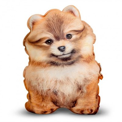 Realistic Pillow Toy Pomeranian spitz