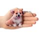 Keychain Pembroke Welsh Corgi Puppy
