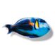 Магнит Голубая рыба попугай MGON-01 фото 1