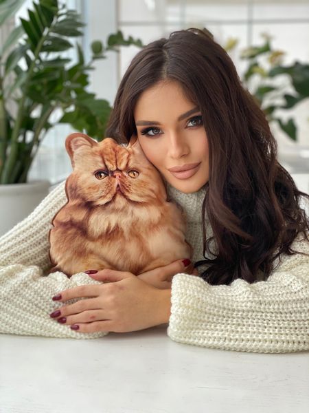 Realistic Persian Ginger Kitten Pillow Toy