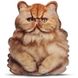 Реалистичная игрушка-подушка Персидский рыжий котенок PT3D-09 фото 1