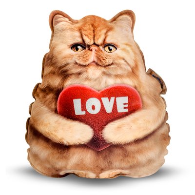Realistic Persian Ginger Kitten Pillow Toy with Love