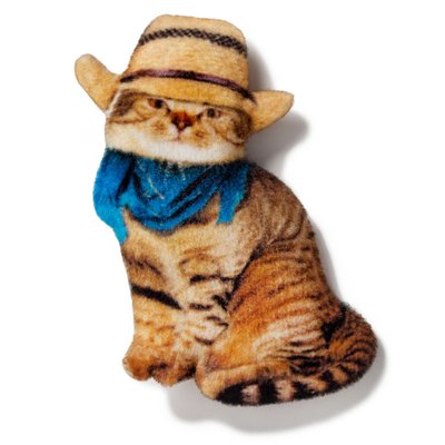Magnet cat in a hat