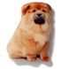 Magnet Chow Chow