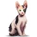 Realistic Sphynx cat pillow toy