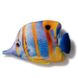 Magnet Copper Butterfly Fish