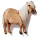 Shetland Pony Magnet