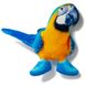 Magnet Macaw